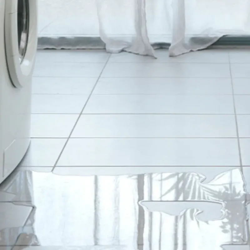 Appliance Leak Cleanup in Newton, AL