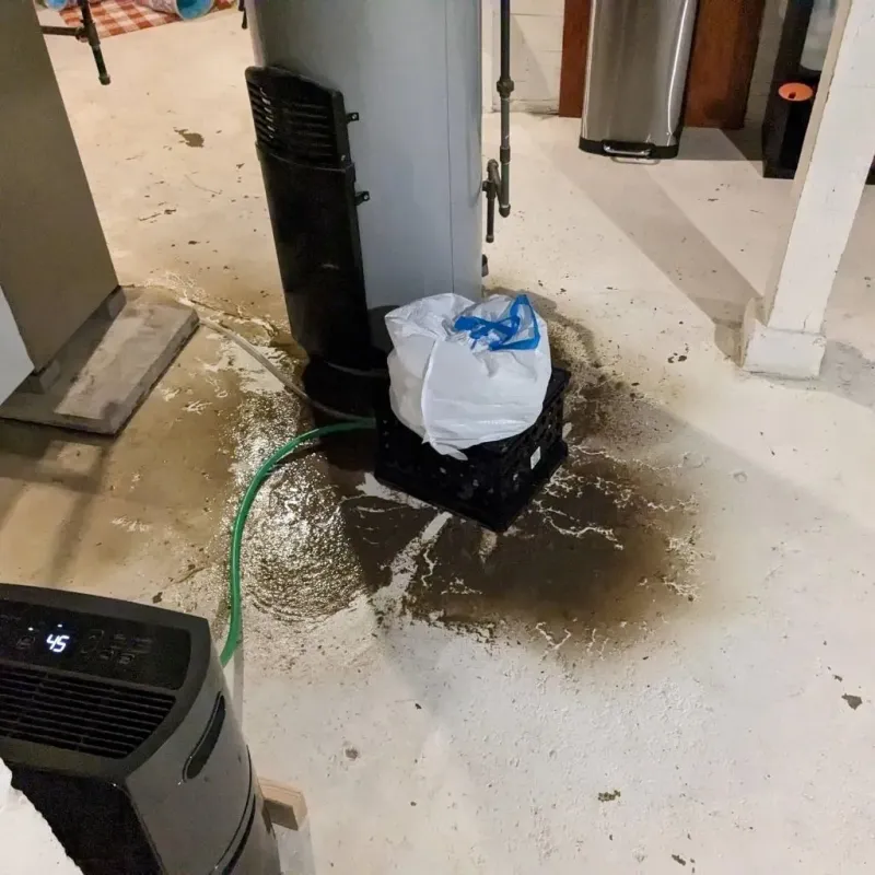 Sewage Backup Cleanup Service in Newton, AL